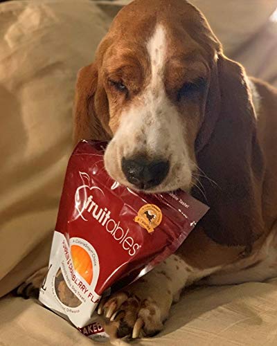 Fruitables Pumpkin Dog Treats, Variety Pack Of 5