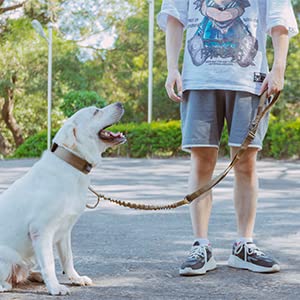 Excellent Elite Spanker Tactical Dog Leash Heavy Duty 5-6Ft Adjustable No Pull Military Bungee Dog Leash Elastic Leads Rope With 2 Padded Control Handle For Medium Large X-Large Dogs(Gry)