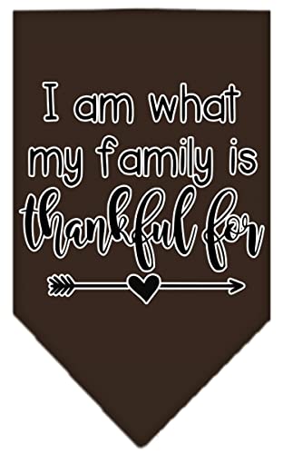 Mirage Pet Product I Am What My Family is Thankful for Screen Print Bandana Cocoa Small