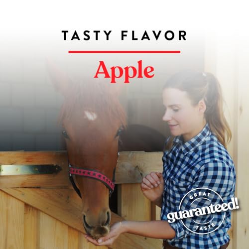 Manna Pro Bite-Size Nuggets for Horses - Pocket Sized Training Horse Treats - Apple Flavored Treats - Packs with Vitamins & Mine