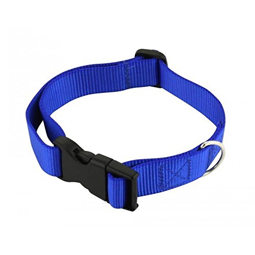 Smart Living Reflective Pet Leash