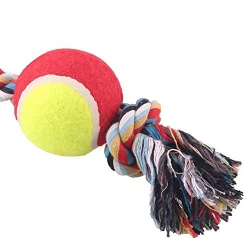 D&C Paws Non Toxic Cotton Rope Molars Chew Toy With Tennis Ball For Puppies & Cats | 26 Cm Durable Interactive Teething, Fetch &