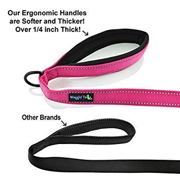 Waggin Tails Dual Handle Dog Leash, Premium Nylon, Reflective Lively Pink, Medium to XLarge, Double Padded Comfort