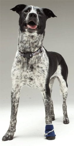 Healers Petcare Medical Dog Bootie, Single Unit - Blue, l
