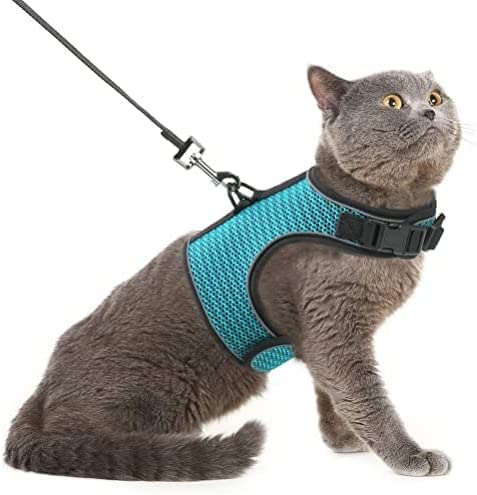 Pupteck Soft Mesh Cat Vest Harness And Leash Set Puppy Padded Pet Harnesses Escape Proof For Cats Small Dogs (Large, Lake Blue)
