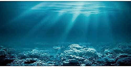 Awert 48X18 Inches Undersea Theme Aquarium Background Sunshine Underwater World Fish Tank Background Vinyl