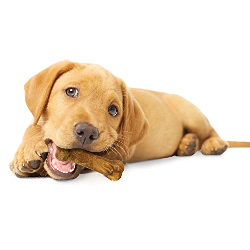 Nylabone Healthy Edibles Natural Puppy Chews Long Lasting Treats for Puppies, Turkey & Sweet Potato Flavor, X-Small/Petite (4 Co
