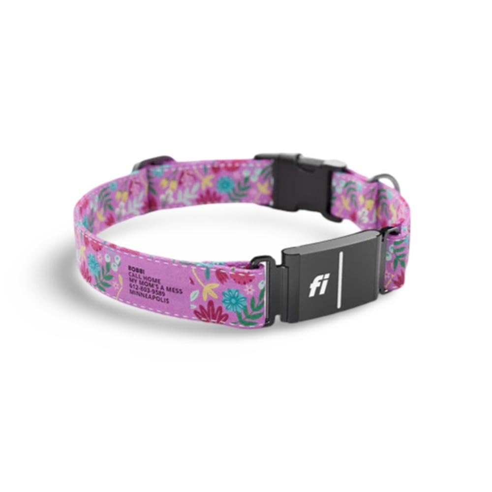 Stunt Puppy Dog Collar, Fi Series 3 Ready, Frolic Summer, Large - Compatible With Fi Gps Device (Not Included)