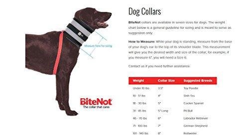 Bitenot Collar, 5' W X 24' L