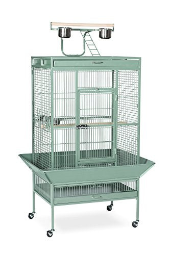 Prevue Hendryx Pet Products Wrought Iron Select Bird Cage 3153Sage, Sage Green, 30-Inch By 22-Inch By 63-Inch