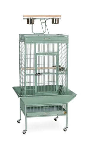 Prevue Pet Products Wrought Iron Select Bird Cage 3152Sage Sage Green, 24-Inch By 20-Inch By 60-Inch
