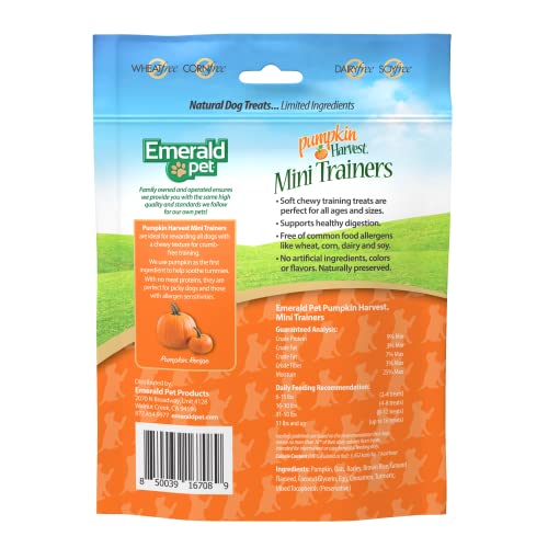 Emerald Pet Pumpkin Harvest Mini Trainers Chewy Dog Treats