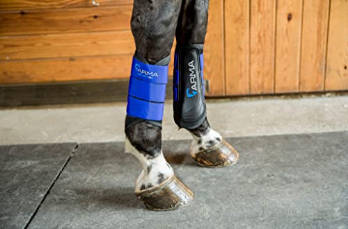 Shires Arma Air Motion Brushing Boots (Royal, Small Pony)