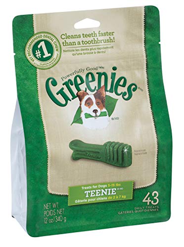Greenies Mint Dental Stick For Dog 12 oz. 9.63 in. 1 pk
