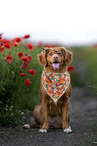 Lionheart Glory Dog Bandana 1 Pack Washable Soft Cotton Flower Print Bibs Scarf, Adjustable Kerchief Square Dog Bandanas For Sma