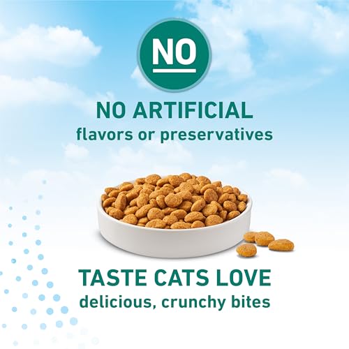 Purina ONE LiveClear Cat Food - Allergen-Reducing Dry Formula with Real Chicken, 3 lb Bag