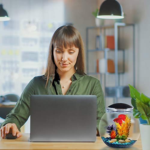 Koller Products 1-Gallon Globe Fish Bowl, Impact- Resistant Plastic Aquarium Starter Kits With Led Lighting, Buit-In Timer, Crystal-Clear Clarity, Desktop Fish Tank For Home Décor