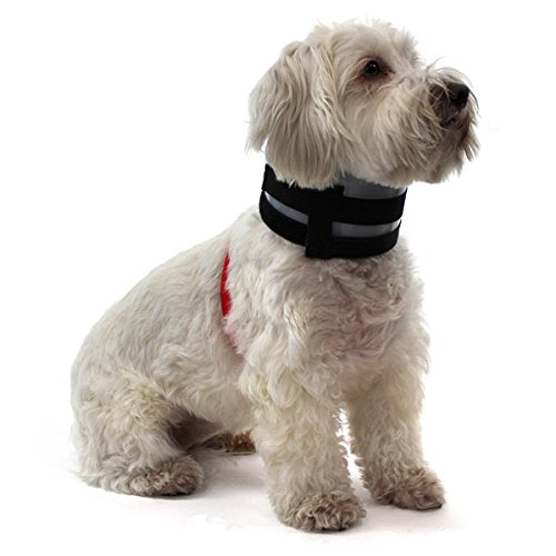 Bitenot Collar, 3.5W X 16L