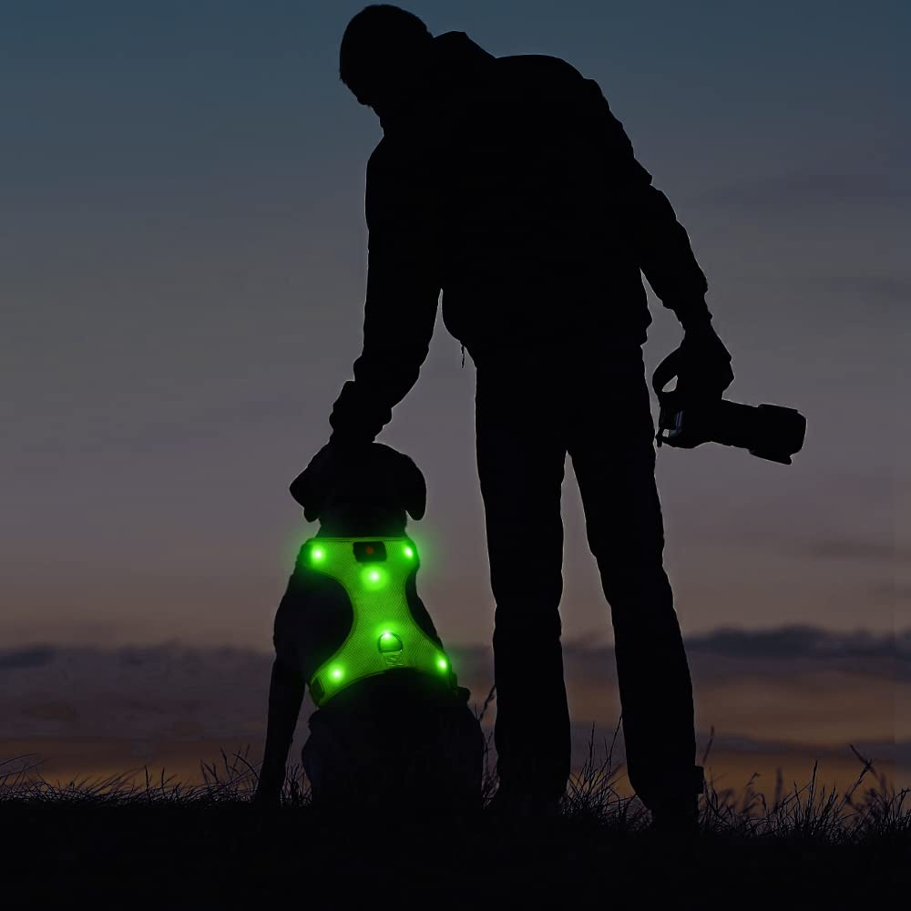 DOMIGLOW LED Dog Harness, USB Rechargeable No Pull Vest for Medium Dogs, Comfortable Padded Design, Green, Size M