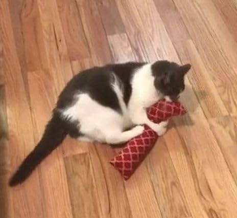 West Coast Pet Products 15'' Catnip Cat Kicker Toys/Kitty Kick Sticks/Cat-Nip Kick Sticks (Rose Red) (Kickers Filled With 1 Oz P