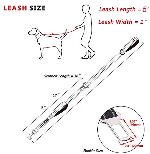 Poypet 5 Feet Dog Leash - 3M Reflective - 2 Cushioned Handles - Functional Car Seat Belt(Mint Blue)