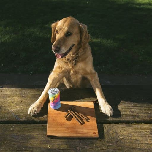 Zippypaws Squeakie Can - Le Chien Squeakie Can Dog Toy, Rainbow Dog Toy With Squeakers, Plush Dog Toys For Aggressive Chewers, Summer Dog Toys, Rainbow Dog Pride Accessories