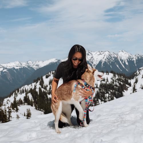 Wolfgang Heavy Duty Adjustable Dog Harness, Pull-Tested To Over 800 Lbs For Walking & Training, Quetzal Print, Medium