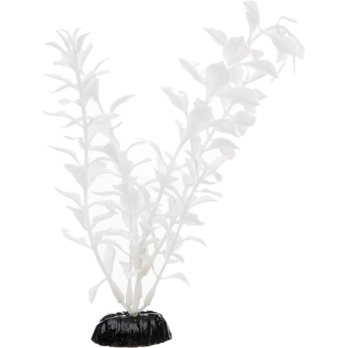 Imagitarium White Midground Ludwigia Aquarium Plant