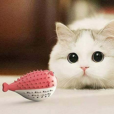 Woofy Pet Cat Kitten Tpr Puffer Fish Toothbrush Catnip Molar Soft Bite Chew Play Toy, Cat Toy Fish Shape  Color May Vary