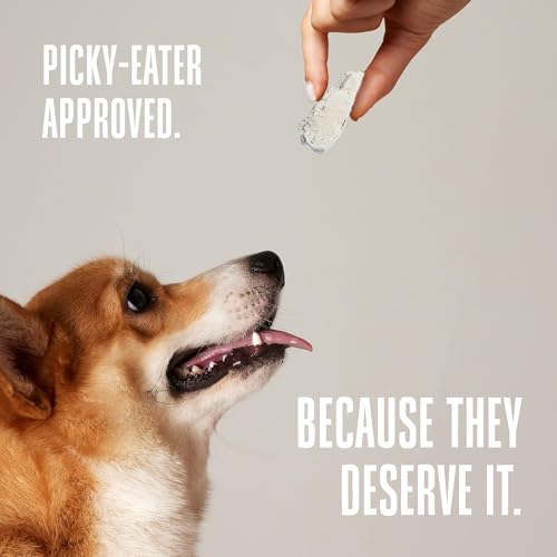 Whole Life Dog Just One Chicken Freeze Dried Dog Treats - Human Grade High Protein Food, Healthy Training Snacks, Freeze Dried F