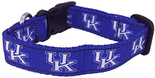College Dog Collar (Medium, Kentucky)
