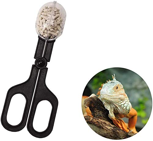 Alfyng 15 Inch Reptile Feeding Tongs Long Tweezers Cricket Clamp Bug Scooper, 3 Pcs Stainless Steel Straight And Curved Tweezers Feeder Tool For Snake Lizard Gecko Spider Bearded Dragon