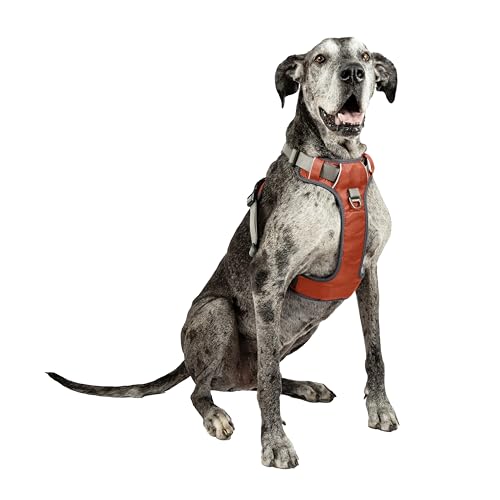 Embark Adventure Xl Dog Harness No-Pull Dog Harnesses For Extra Large, Medium And Small Dogs. 2 Leash Clips, Front & Back With Control Handle, Adjustable Orange Dog Vest, Soft & Padded For Comfort