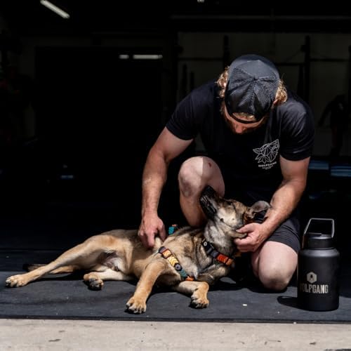 Wolfgang Heavy Duty Martingale Dog Collar With Quick Release Nylon Buckle For Walking & Training, Chevtech Print, Large