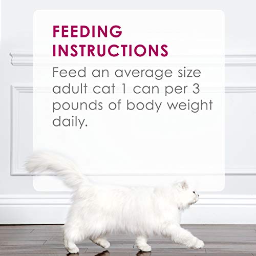 Purina Fancy Feast Savory Centers Salmon Pate Adult Wet Cat Food with a Gravy Center - (Pack of 24) 3 Oz. Cans