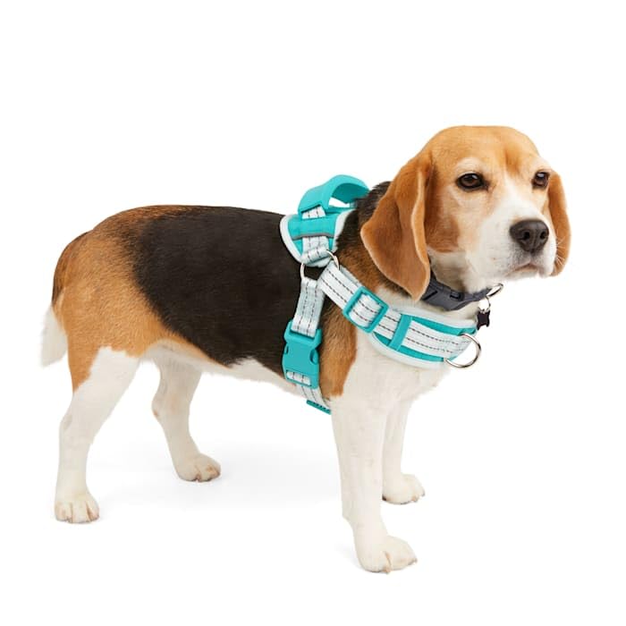 Everyyay Easy On Training Dog Harness Blue Small