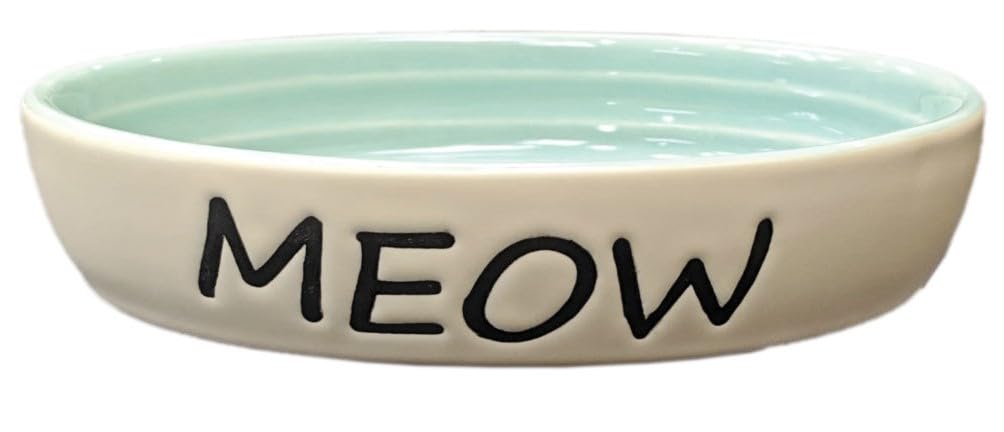 Spot Oval Green Meow Dish 6 58575