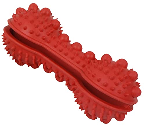 Pet Life  'Denta-Bone' TPR Treat Dispensing and Dental Cleaning Durable Dog Toy