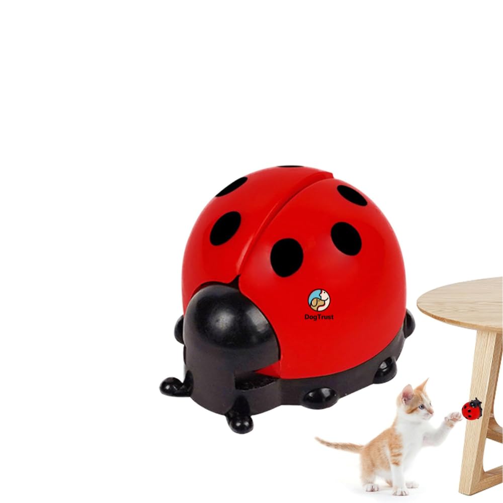 Dog Trust SelfAdhesive Rotatable Catnip Balls For Cats  Ladybird Shaped Natural Edible Toy For Oral Care, Digestion & Fun Play