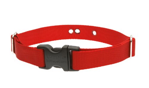 Lupinepet Basics 1' Red 16-24' Containment Collar Strap For Medium And Larger Dogs