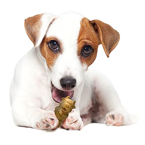 TFH ONE SZ EDIBLES PUP PALS 12CT