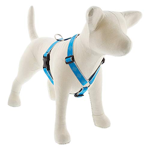 Lupine Reflective Extra Large Adjustable Dog Harness 1'' Wide Blue Diamond with 36-44'' Girth