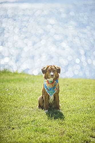 Unique Style Paws Dog Bandana, Sunflower Print 1Pc Washable Square Dog Scarfs For Small Medium Large Dogs Adjustable Dogs Bib Sc