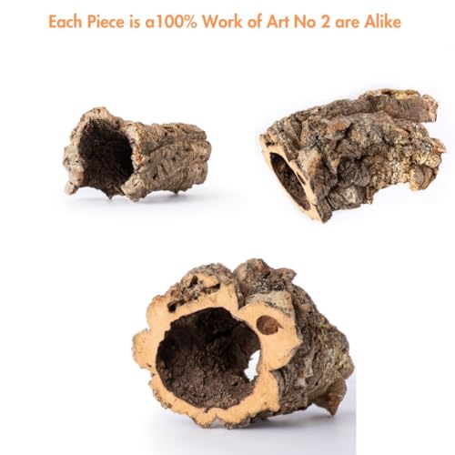 Gal  pagos (05505) Natural Cork Bark for Reptiles - Ideal for Bearded Dragons, Snakes, and Geckos - Climbing Accessory for Terra