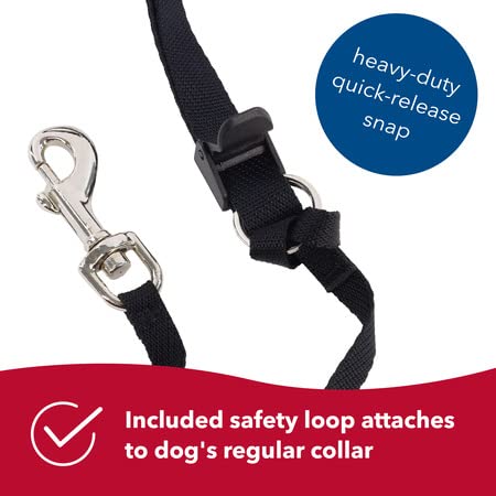 Coastal Pet Walk 'N Train Dog Head Halter - Head Colllar Dog Leader - No-Pull Dog Harness - Quick-Drying Polyester - Black - Xlarge