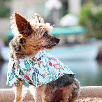 Doggie Design Hawaiian Camp Shirts (Xxs, Surfboards & Palms)