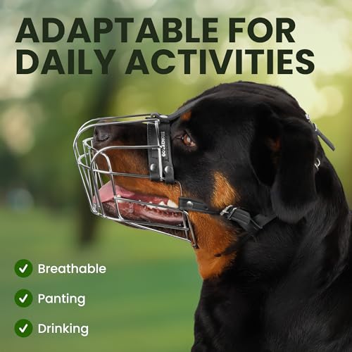 Bronzedog Dog Muzzle Adjustable Durable Metal Wire Basket For Large And Extra Large Dogs With Leather Straps Breathable, Drinkable, Training, Prevents Biting (Stainless Steel, Rottweiler)