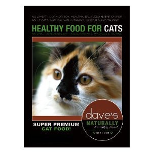 Daves Pet Food Natural Health Cat Food, 4 lb