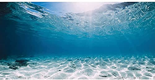 AWERT 48x20 inches Vinyl Undersea Ocean Floor Aquarium Background Tropical Tank Background