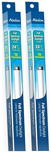 Aqueon 2 Pack Of Full-Spectrum Daylight T8 Fluorescent Lamp,Glass 17-Watt, 24-Inch